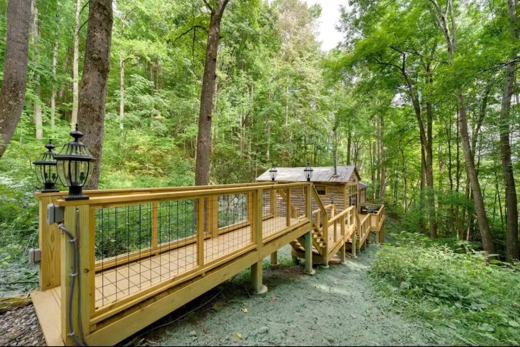Outdoor Enthusiast'S Dream Cabin Hiking & Rafting Hot Springs Dış mekan fotoğraf